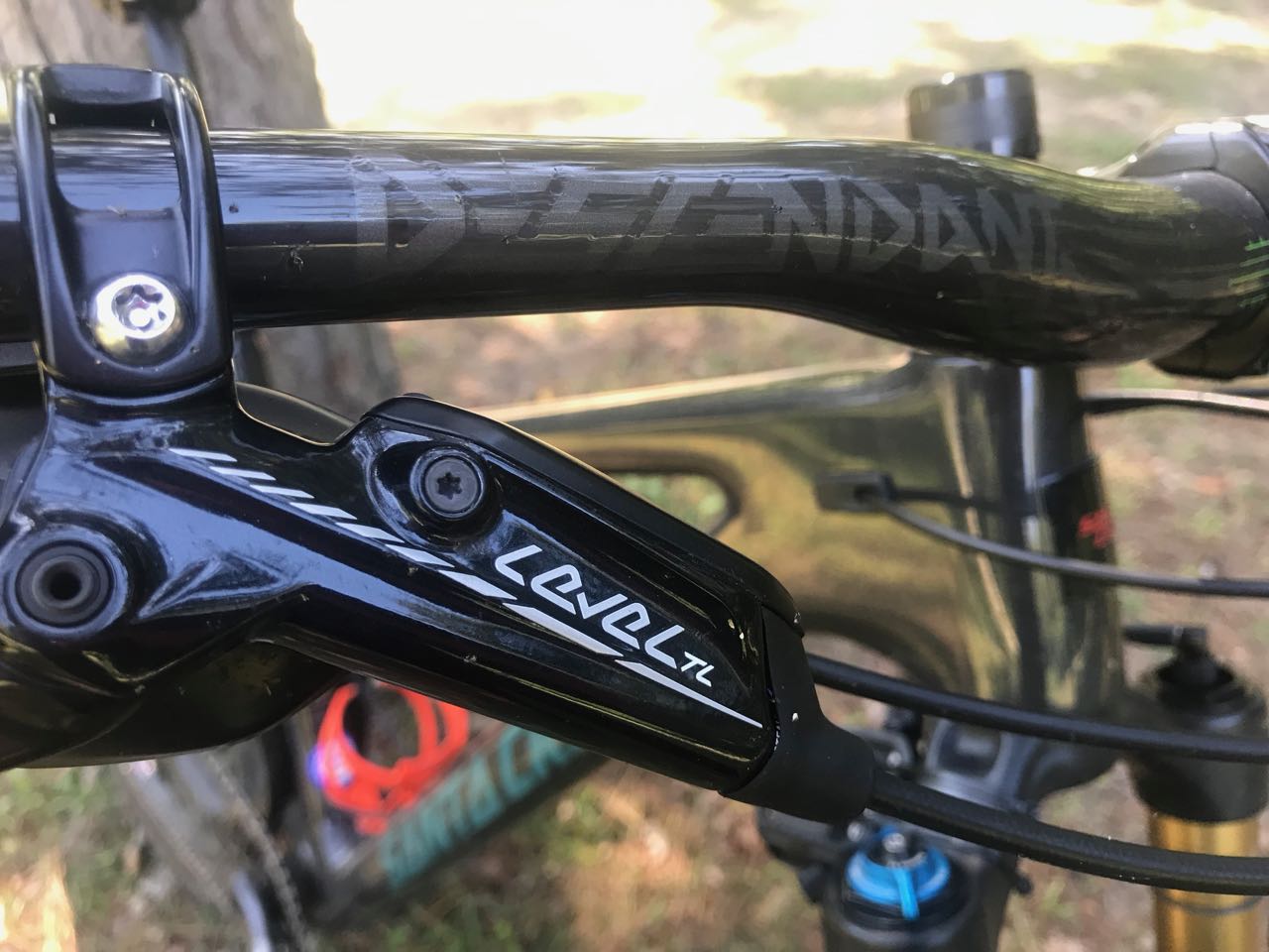 Santa Cruz Blur Pedal